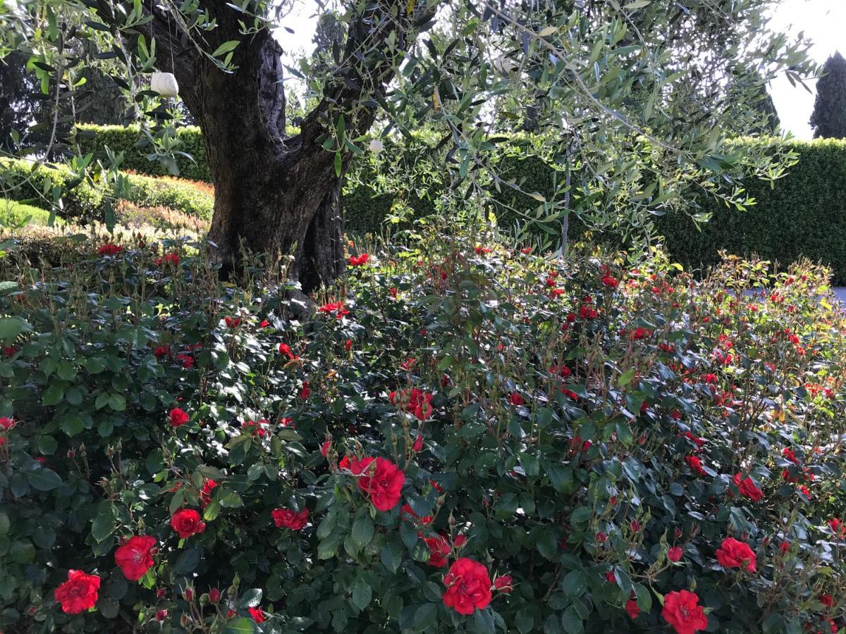 Villa Del Papa Λούκα Εξωτερικό φωτογραφία